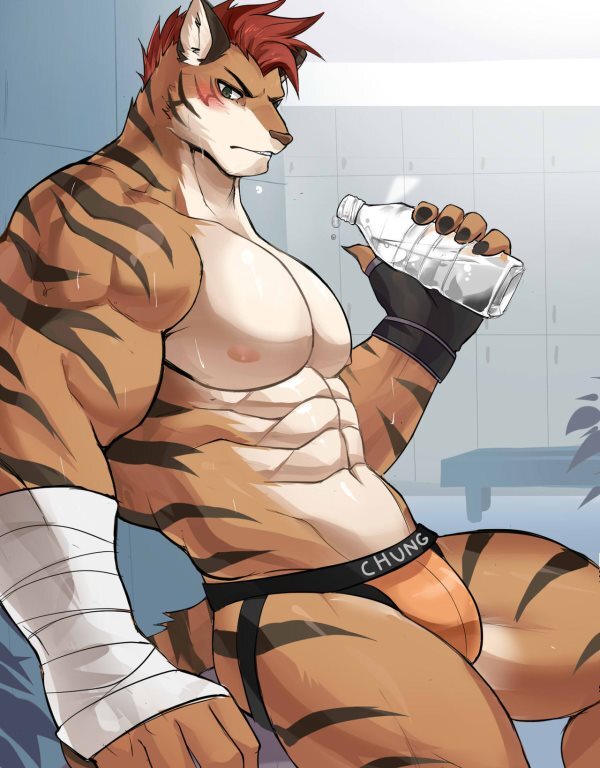 Yaoi/Hentai/Animation