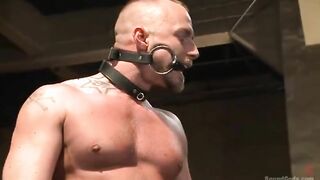 Leather studs joy - ?