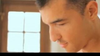 Fellow Royale - Individual Accomplice Allurement