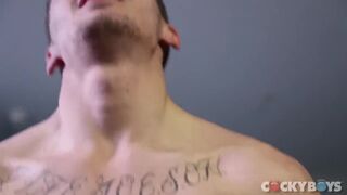 Pierre Fitch Plumbs Asher Hawk