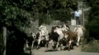 One more Antique French queer Fucky-Fucky