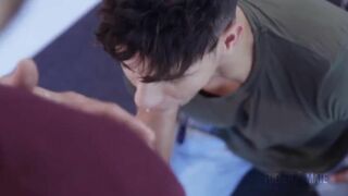 Kaldo & Bastian humid