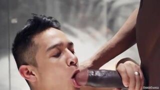 BIG BLACK COCK wet Multiracial