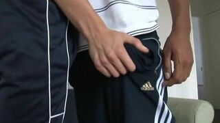 Supah Monster stiffys Breeding