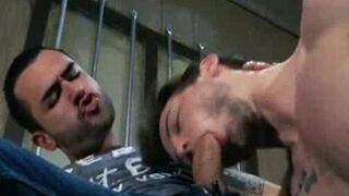 Marko Carbo & Colton Grey