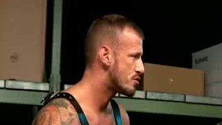 trio Way Muscle sensation