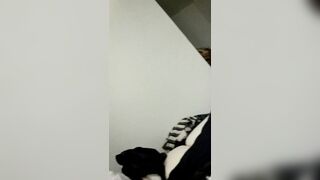 frolicking with the meat