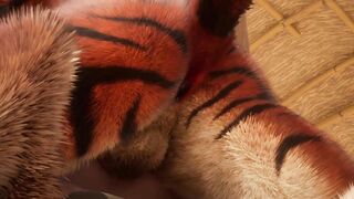 Thick Tiger Pops Inwards Lad Stud w/ Internal Ejaculation (Wooly Homosexual Intercourse) | Naughty Life Furries