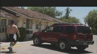 Muscle Grizzly Hotel