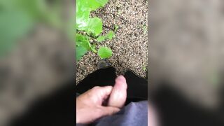 Solo Male Outdoor Peeing Compilation