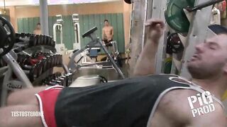 PM Testosterone