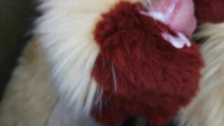 Peeing and spunking for you in fursuit