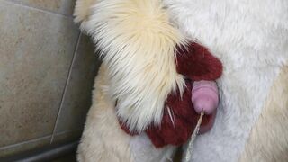 Peeing and spunking for you in fursuit