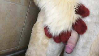 Peeing and spunking for you in fursuit