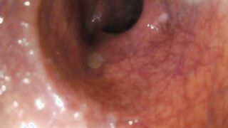 POINT OF GLANCE - Letting you suspend out inside me while I masturbate