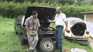 Icaro Studios - Ursos Grandes Peludos E Mansos!