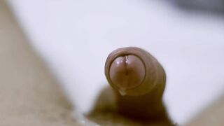 JISM DEMONSTRATE GENTLE SLOW