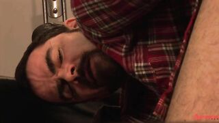 Dolan Bear And Bruno Fox (CM P1)