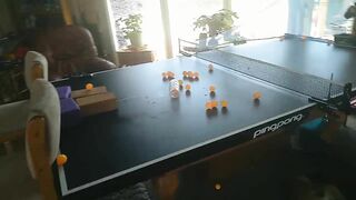 Ping Pong Player 1 A Crevice in One