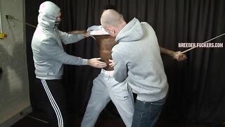 Breeder Plowers Joseph 1