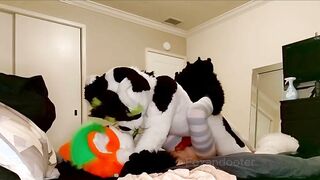 Femboy Rides Murrsuiter and Gets Missionary