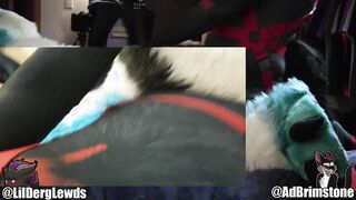 Getting Crammed With Jizz by a Hell-Hound