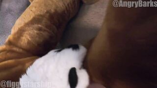 Making the dog pray for it