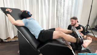 Giggly Alejandro Comes Back To Ask For Masochistic Kittles