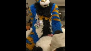 superb kitty porks the cum out of the bad dog then blows a load mitts free-for-all-for-all