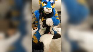 superb kitty porks the cum out of the bad dog then blows a load mitts free-for-all-for-all