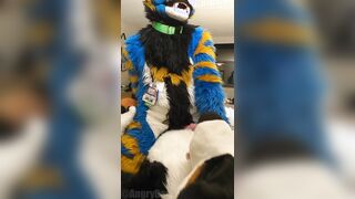 superb kitty porks the cum out of the bad dog then blows a load mitts free-for-all-for-all