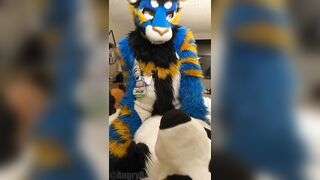 superb kitty porks the cum out of the bad dog then blows a load mitts free-for-all-for-all