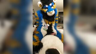 superb kitty porks the cum out of the bad dog then blows a load mitts free-for-all-for-all