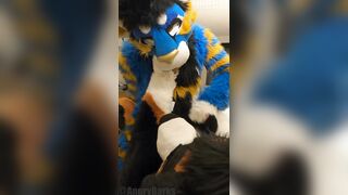 superb kitty porks the cum out of the bad dog then blows a load mitts free-for-all-for-all