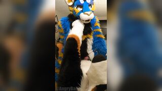 superb kitty porks the cum out of the bad dog then blows a load mitts free-for-all-for-all