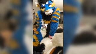 superb kitty porks the cum out of the bad dog then blows a load mitts free-for-all-for-all