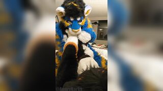 superb kitty porks the cum out of the bad dog then blows a load mitts free-for-all-for-all