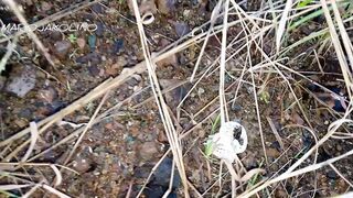 Pag jakolan ko daw short ng finest acquaintance ko utos ng aking worshipper