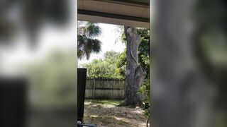 Eclipse wanking outside (orgy magic)