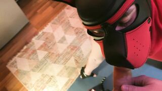 Subjugated mutt gets romped with a fucktoy in her donk, deepthroats hard-on and gobbles soles.
