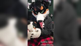 I WRECKED my BRAND FRESH Fursuit (Not Clickbait!)