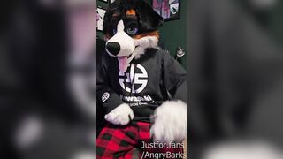 I WRECKED my BRAND FRESH Fursuit (Not Clickbait!)