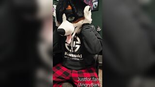 I WRECKED my BRAND FRESH Fursuit (Not Clickbait!)