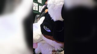 I WRECKED my BRAND FRESH Fursuit (Not Clickbait!)