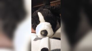 POINT OF VIEW Plushie Border Collie Makes Onesie Puppy Jizz!