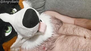 Wooly Eunuch @AngryBarks gets rock hard caressing his empty nut,shoots infertile jizm Excellent Neutered Puppy