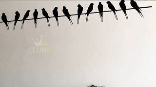 Emiliano & Nico - Emiliano Terra & Nico Bello 720P