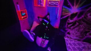 Alleycat kneads off with fresh plaything