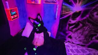 Alleycat kneads off with fresh plaything