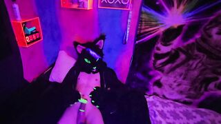 Alleycat kneads off with fresh plaything